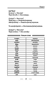Грамматика чешского языка за 30 дней