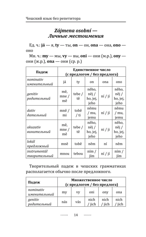Грамматика чешского языка за 30 дней