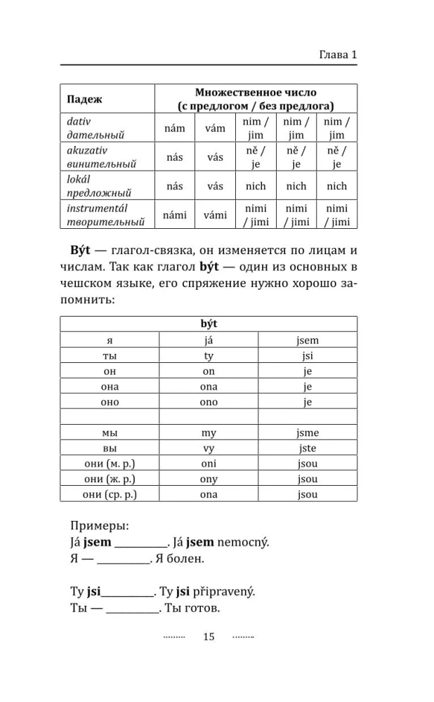 Грамматика чешского языка за 30 дней