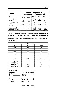 Грамматика чешского языка за 30 дней