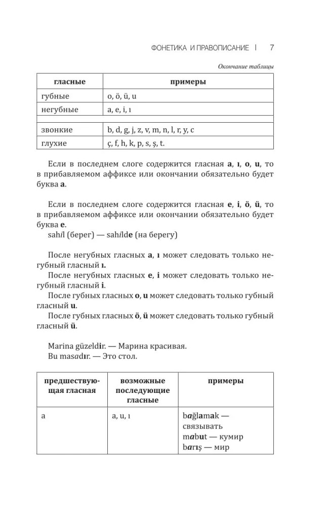 Грамматика турецкого языка: краткий курс