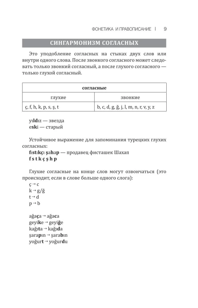 Грамматика турецкого языка: краткий курс
