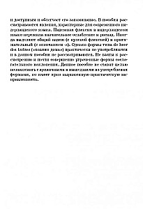 Nīderlandes gramatika tabulās un shēmās