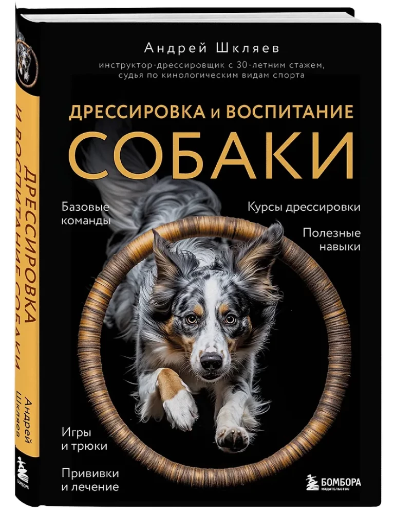Дрессировка и воспитание собаки
