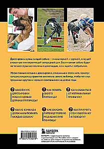 Дрессировка и воспитание собаки