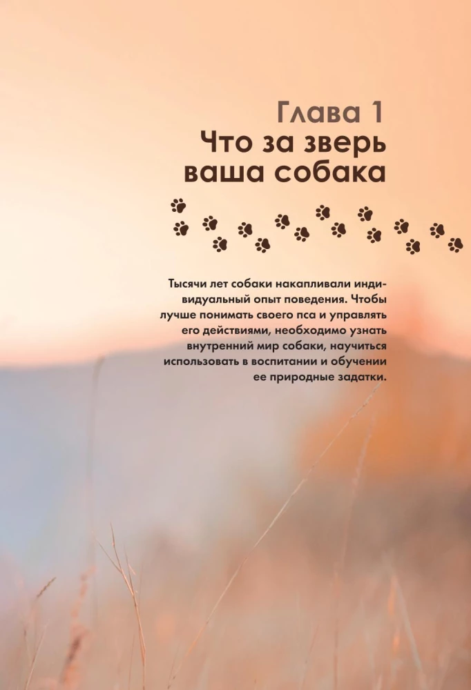 Дрессировка и воспитание собаки