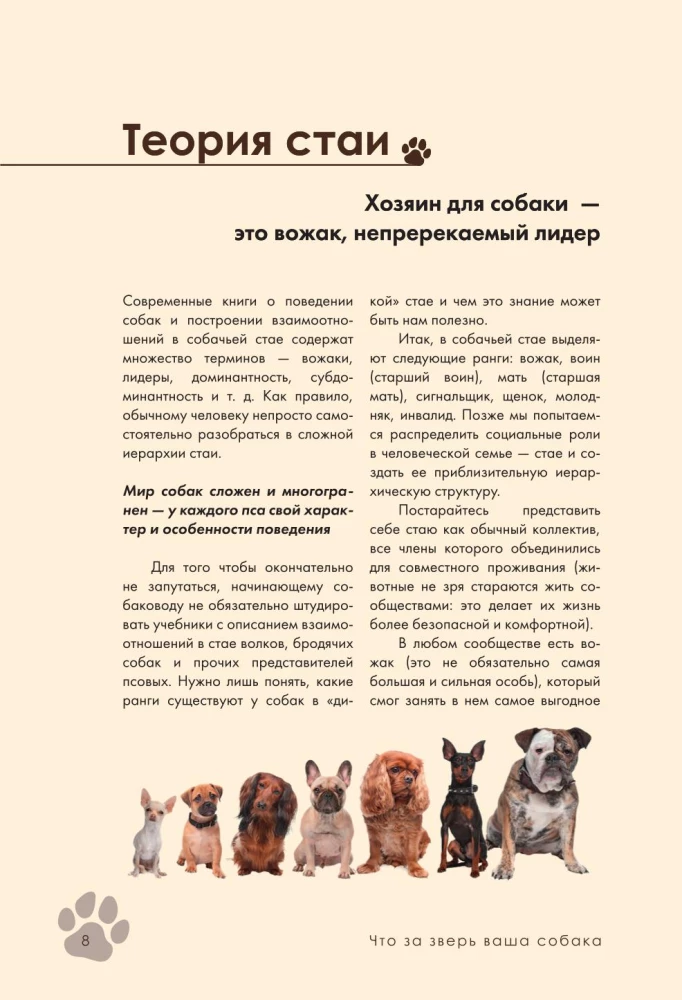 Дрессировка и воспитание собаки