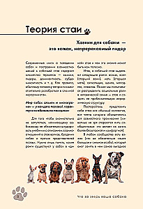 Дрессировка и воспитание собаки