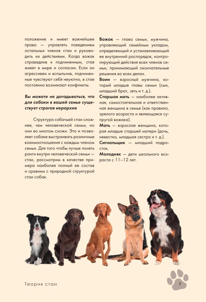 Дрессировка и воспитание собаки