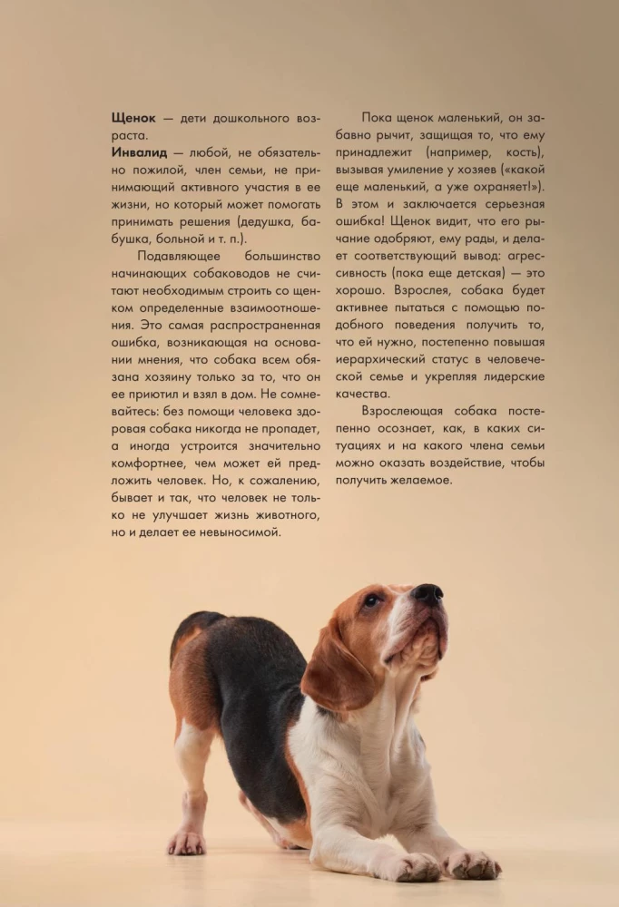 Дрессировка и воспитание собаки