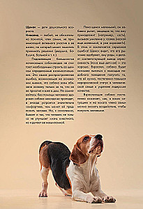 Дрессировка и воспитание собаки