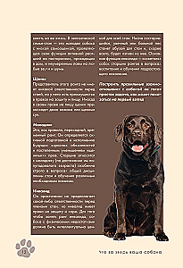 Дрессировка и воспитание собаки