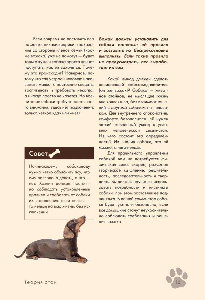 Дрессировка и воспитание собаки