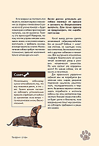 Дрессировка и воспитание собаки