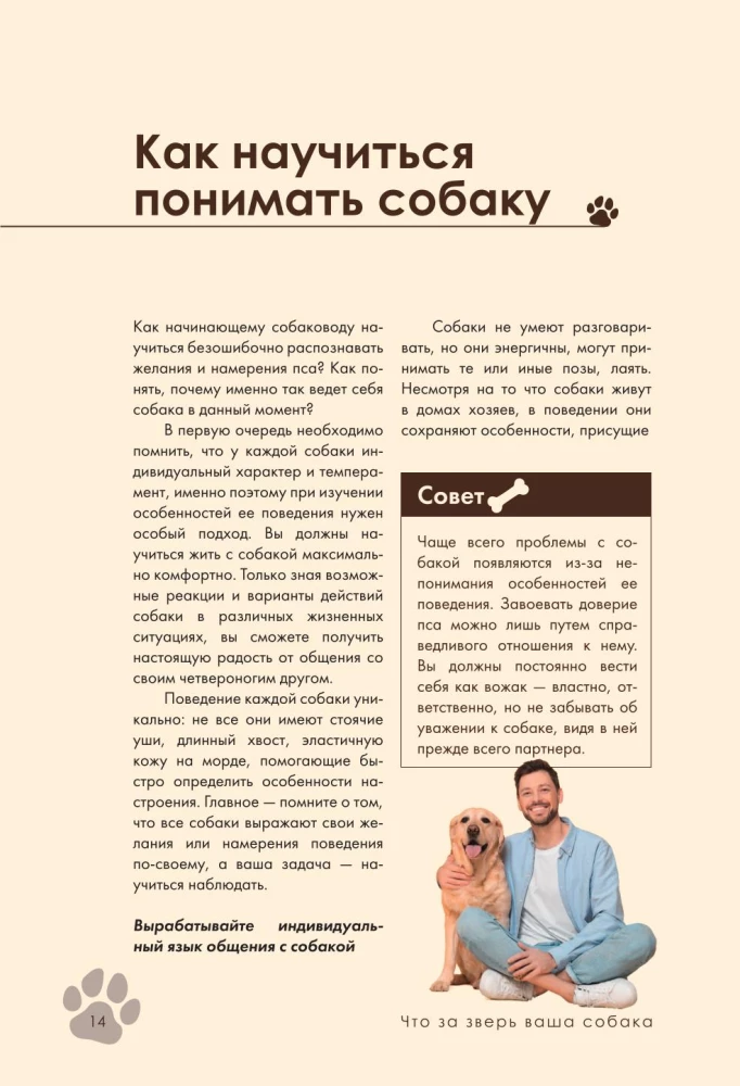 Дрессировка и воспитание собаки