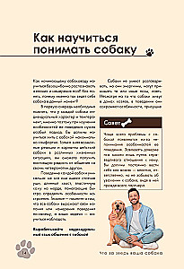 Дрессировка и воспитание собаки