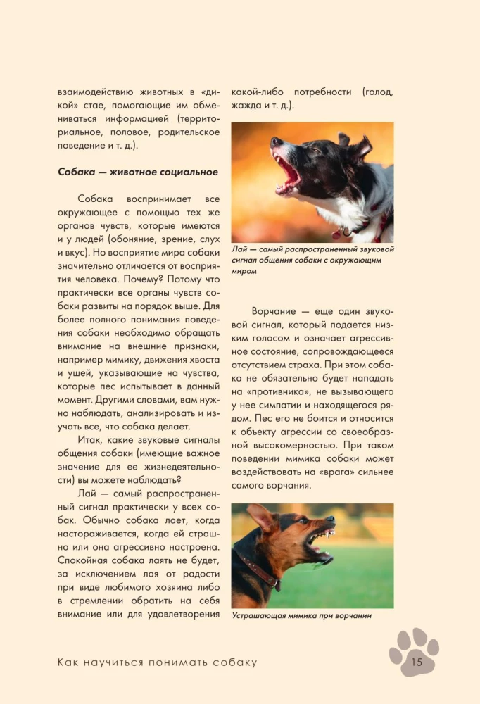 Дрессировка и воспитание собаки