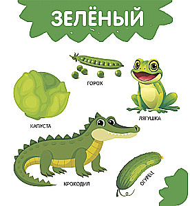 Цвета