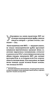 Как понять свой ЖКТ. Безобидные сигналы вашего организма и симптомы, на которые стоит обратить внимание