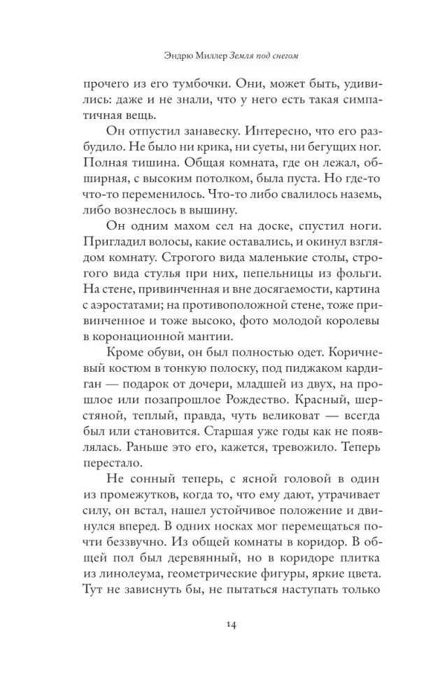 Земля под снегом