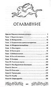 Брусничное Солнце