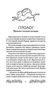 Брусничное Солнце