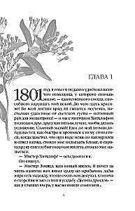 Negaisa pāreja