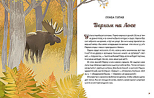 Перелётный Паучок