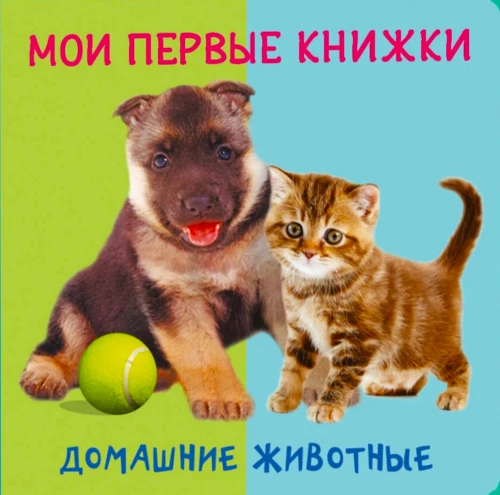 Manas pirmās grāmatas. Mājdzīvnieki