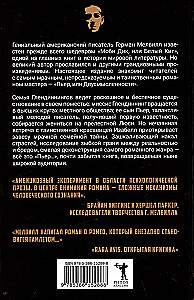 Пьер, или Двусмысленности