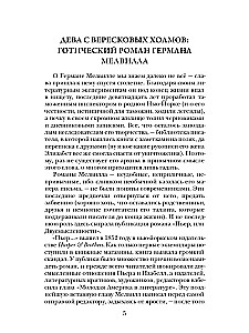 Пьер, или Двусмысленности