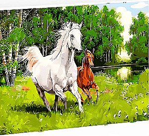 Алмазная мозаика - Кони в лесу