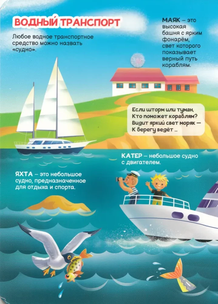 Līpītes. Transports