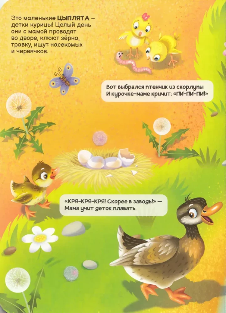 Līpīgas. Mājdzīvnieki
