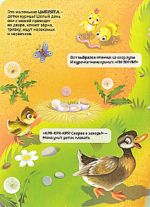 Līpīgas. Mājdzīvnieki
