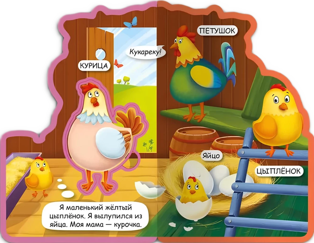 У кого какой детеныш