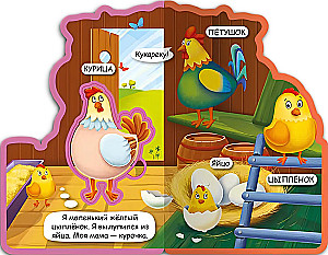 У кого какой детеныш