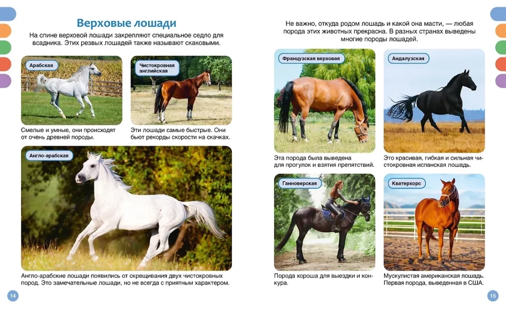 Лошади