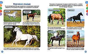 Лошади