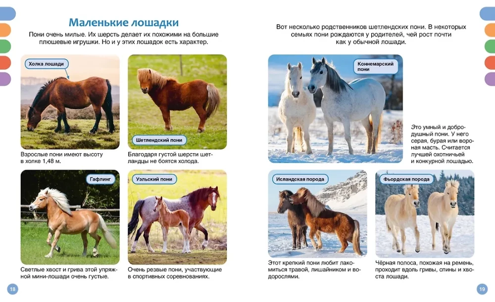 Лошади