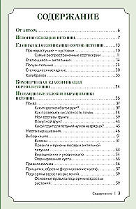 Петуния. Цветок с характером. Шпаргалка-трекер по выращиванию цветочных водопадов