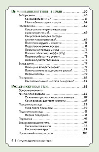 Петуния. Цветок с характером. Шпаргалка-трекер по выращиванию цветочных водопадов