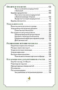 Петуния. Цветок с характером. Шпаргалка-трекер по выращиванию цветочных водопадов