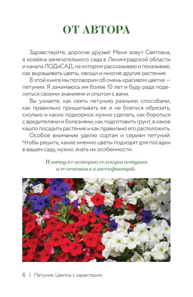 Петуния. Цветок с характером. Шпаргалка-трекер по выращиванию цветочных водопадов