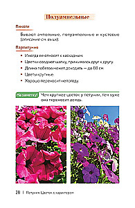 Петуния. Цветок с характером. Шпаргалка-трекер по выращиванию цветочных водопадов