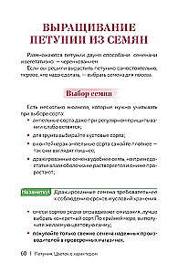Петуния. Цветок с характером. Шпаргалка-трекер по выращиванию цветочных водопадов