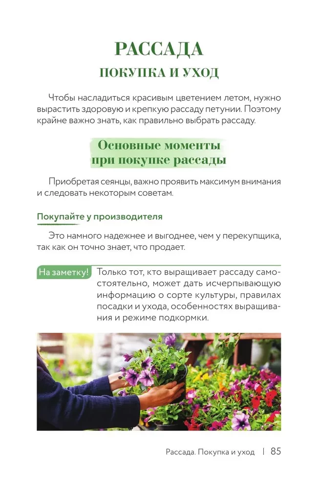 Петуния. Цветок с характером. Шпаргалка-трекер по выращиванию цветочных водопадов