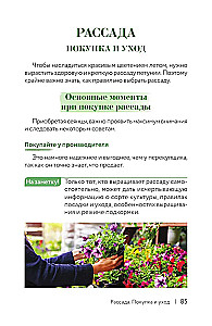 Петуния. Цветок с характером. Шпаргалка-трекер по выращиванию цветочных водопадов