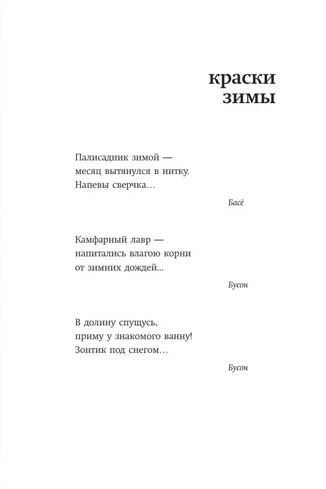 Зима. Хайку