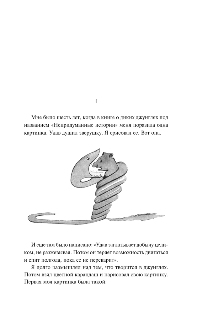 Mazais princis. Citadele